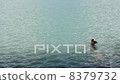 Waterside鴨子Bonde池塘Rouveron法國 8379732