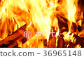  Fire burning wood with sound 36965148