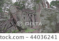 廢墟004 44036241