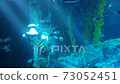 黃貂魚後有很多魚 73052451