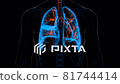 Human lungs breathing movement of inspiration... - Stock Footage [81744414]