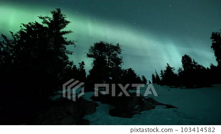 Aurora Green Over Snow Covered Pine Tree... - Stock Footage [103414582 ...