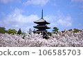 Scenery of Kyoto in spring - 5 shots with... - Stock Footage