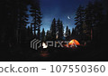 A dark and silent night, a lamp on a tree and a brightly shining lantern in a tent and a blazing bonfire flame and comfortable nature, camping in the forest and wood fire and campfire at the campsite 107550360